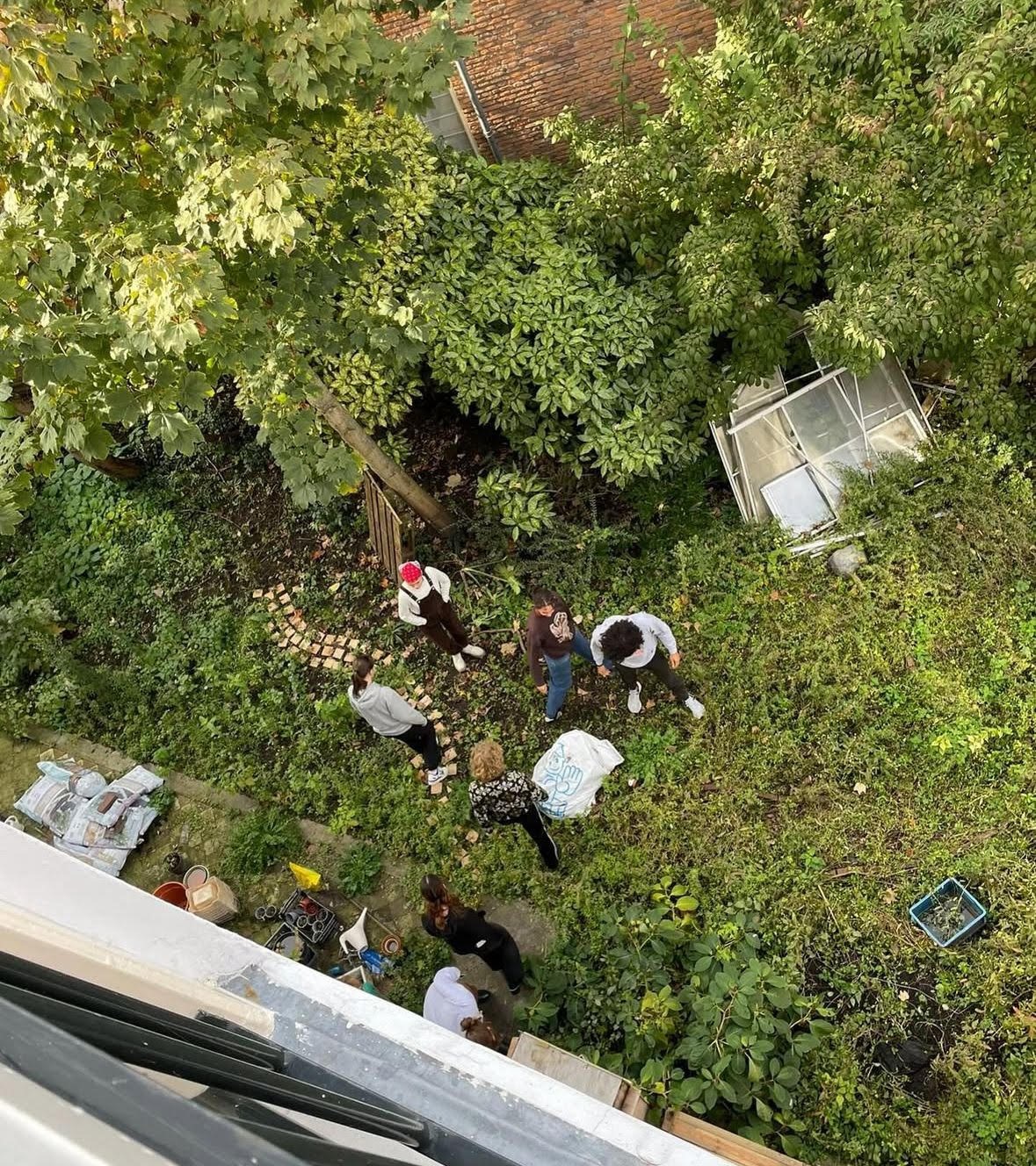 Afbeelding van WhatsApp op 2025-10-24 om 12.46.00_b6d89611